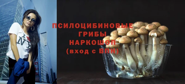 дурь Богородск
