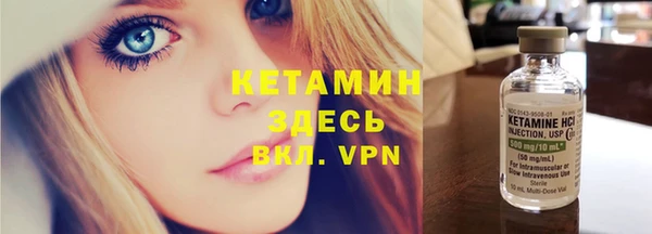 прущие грибы Бородино
