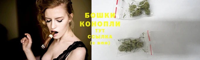 дурь Богородск