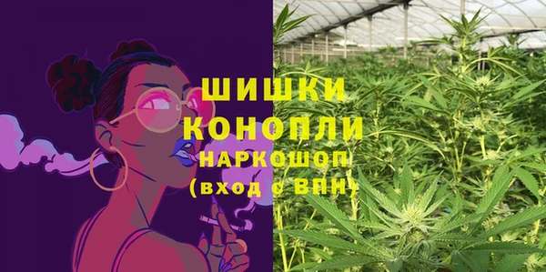 бошки Богородицк