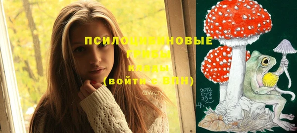 бошки Богородицк