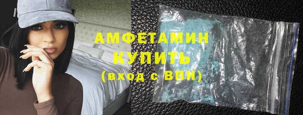 прущие грибы Бородино