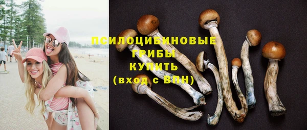 тгк Бугульма