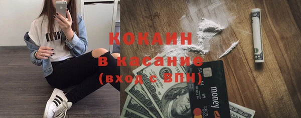 прущие грибы Бородино