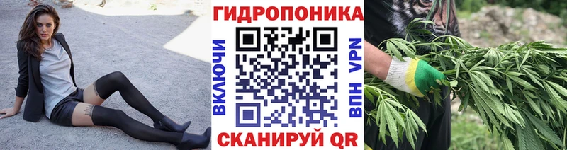 Канабис OG Kush Козельск